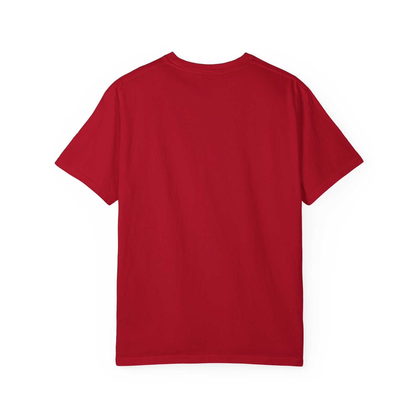 Eagle Emblem Garment-Dyed T-Shirt, Comfortable Vintage Tee, Patriotic Apparel, Casual Wear, Perfect Gift for Veterans
